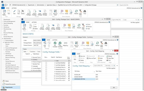 Figure 6 - Dynamics NAV screen shot